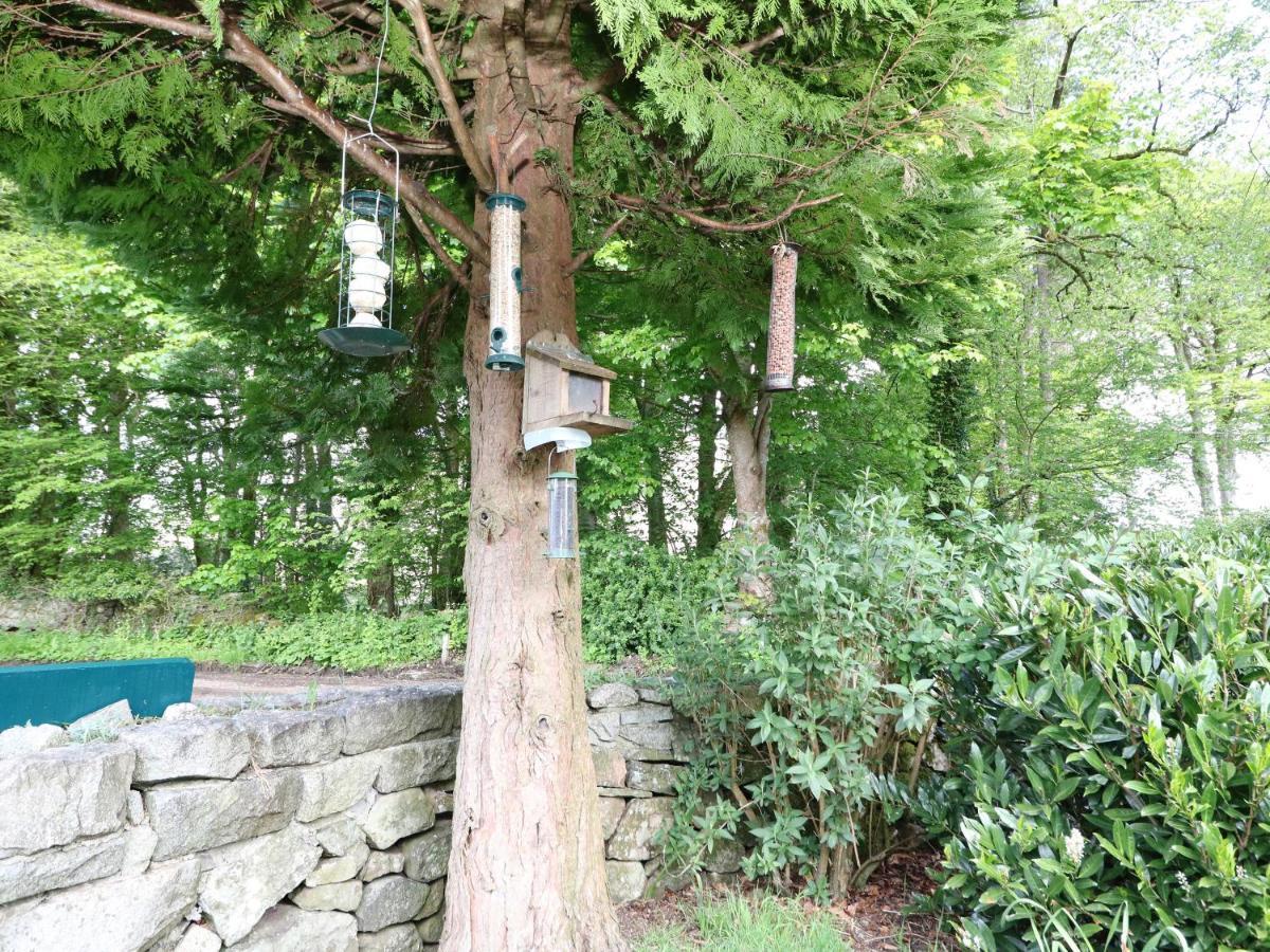 테이뉠트 Upper Brackendale 아파트 외부 사진